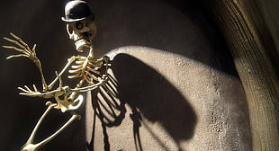 brown human skeleton, Halloween, skeleton, hat, sunlight HD wallpaper