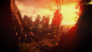 green trees and sunset, The Witcher 3: Wild Hunt, video games