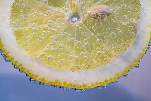 close-up photography of sliced citrus with dew drops