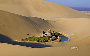 brown sand, nature, dune, Bing, oasis HD wallpaper