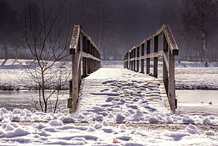 brown wooden bridge covered with snow field