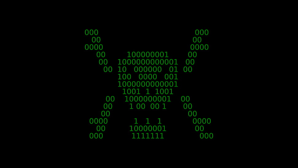binary code, binary, skull and bones HD wallpaper