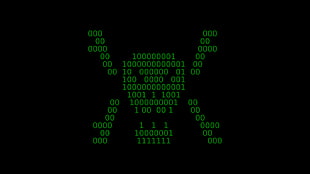 binary code, binary, skull and bones