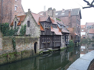 brown and black house, city, Belgium, Bruges, river