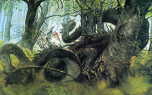 brown dragon digital wallpaper, dragon, John Howe