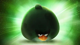 green angry bird wallpaper HD wallpaper