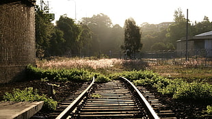brown railroad, railway HD wallpaper
