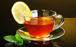 clear glass teacup and saucer with sliced of lemon