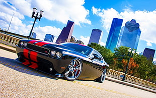 black Ford Mustang coupe, car, rims, building, road