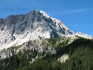 photo of mountain range near pine trees HD wallpaper