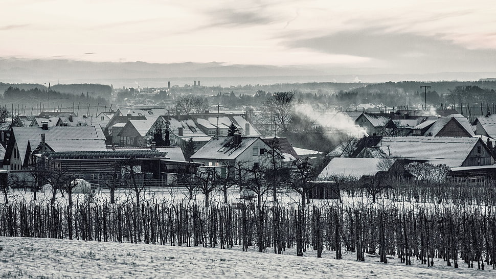grayscale photo of house, snow, Switzerland, village, winter HD wallpaper