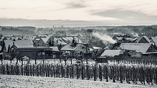 grayscale photo of house, snow, Switzerland, village, winter