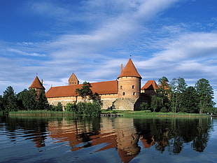brown and beige castle surrounded by trees near the water during daytime