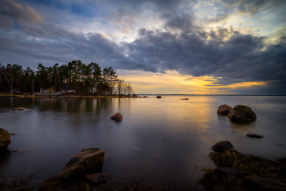 sea beside tree with stone HD wallpaper