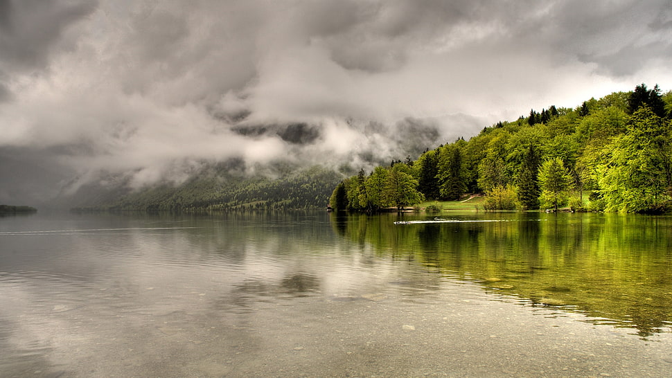 calm lake near green trees HD wallpaper