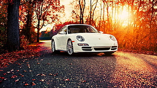white sports car, car, Porsche