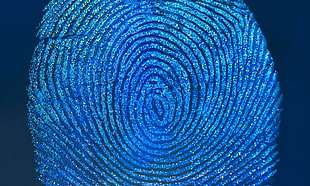 thumb mark, minimalism, fingerprints, abstract, blue background HD wallpaper