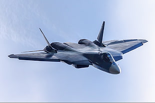 gray fighter jet, Sukhoi PAK FA, Russian Air Force