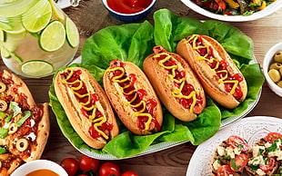 four hotdog buns, hot dogs, food HD wallpaper
