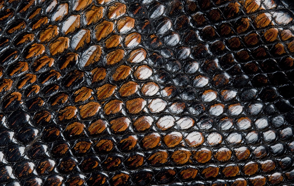 brown, white, and black textile HD wallpaper