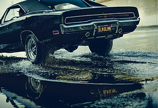 black convertible couope, Dodge Charger, car, water, black cars HD wallpaper