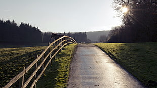 pathway through green grass field
