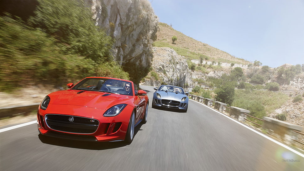 red and gray cards, Jaguar F-Type, Jaguar, road, vehicle HD wallpaper