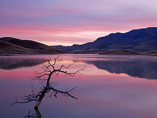 lake photo during golden hour HD wallpaper