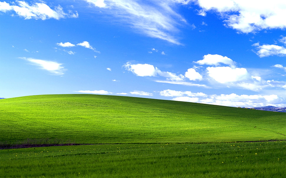 green field under blue sky during daytime HD wallpaper