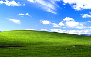 green field under blue sky during daytime