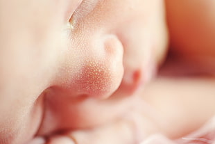 close-up photo of baby