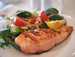 grilled salmon with green leaf salad serve on plate HD wallpaper