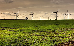 wind turbines, nature, landscape, grass, wind turbine HD wallpaper