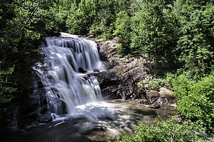 waterfall near green leafed trees during daytime, bald river