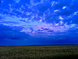 green grass field, Field, Sky, Clouds HD wallpaper