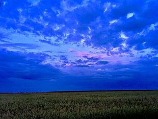 green grass field, Field, Sky, Clouds
