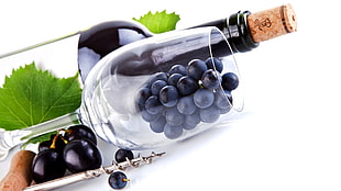 clear wine glass, food, wine, grapes, white background
