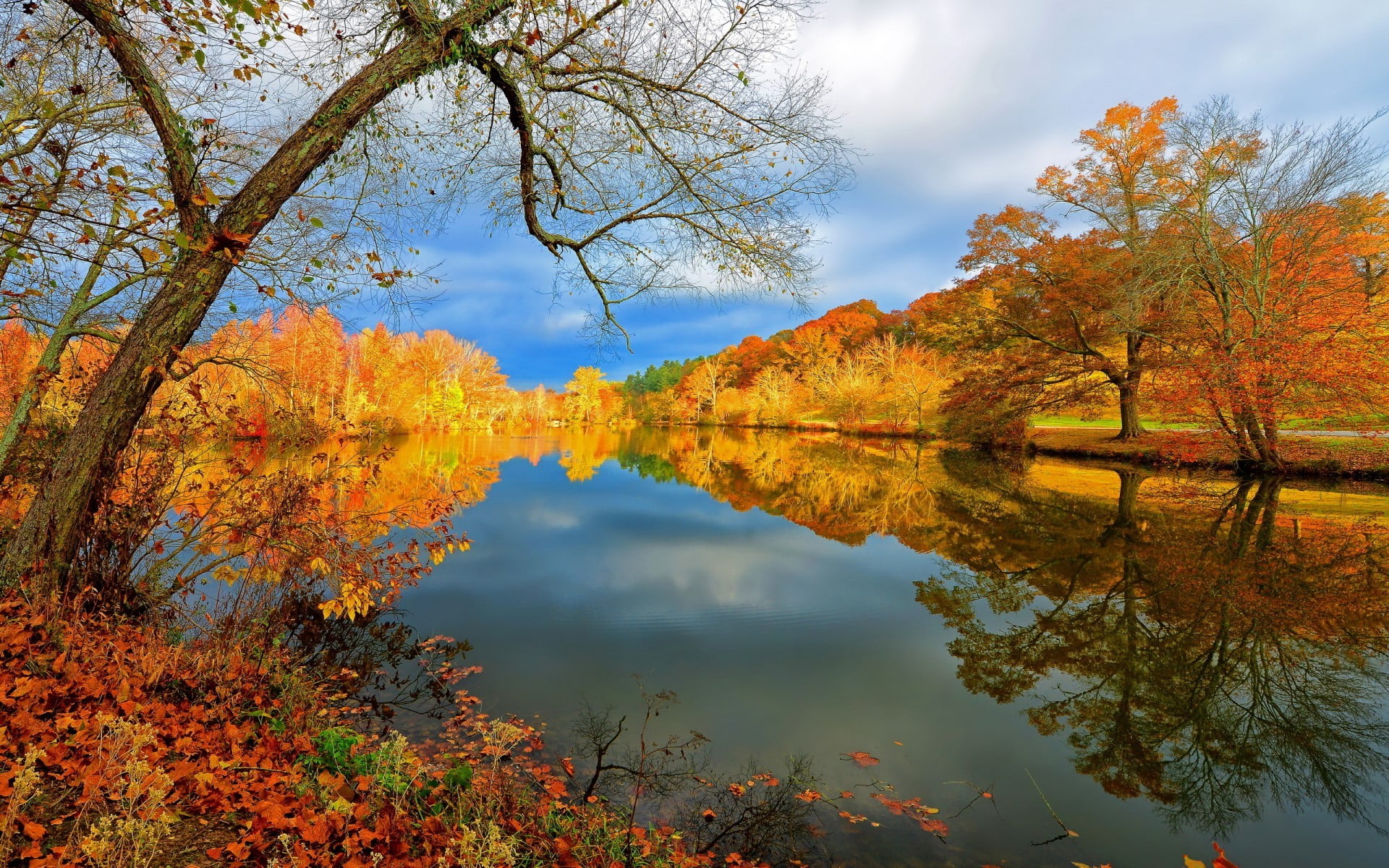 3840x2160 resolution | orange autumn trees, nature HD wallpaper