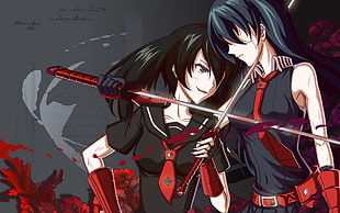 two black-haired female anime characters, Akame ga Kill!, blood, katana, Akame HD wallpaper
