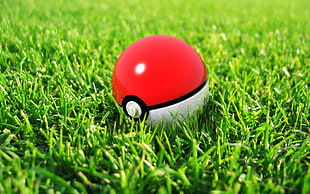 red and white Pokemon ball, Pokémon, Pokéballs