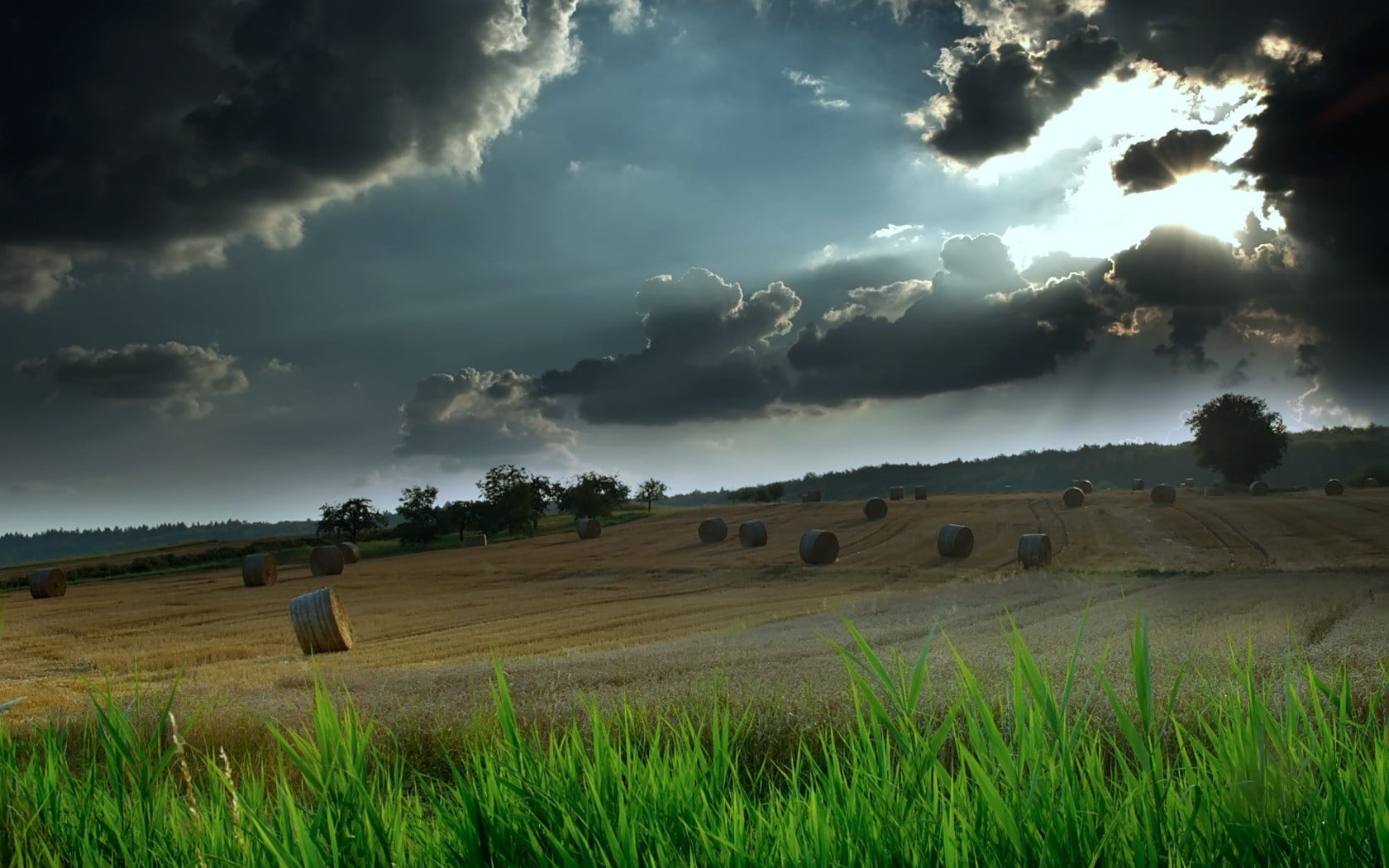 Online crop | green grass field during daytime, landscape HD wallpaper ...