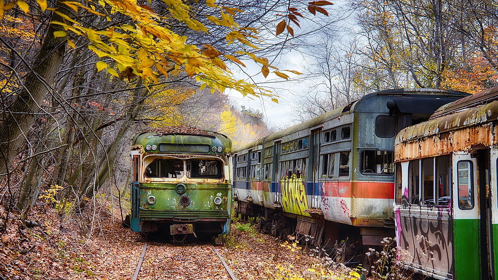 green and white train, train, vehicle, wreck HD wallpaper