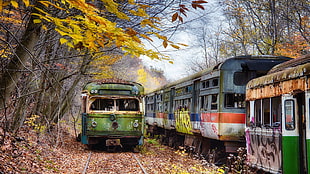green and white train, train, vehicle, wreck