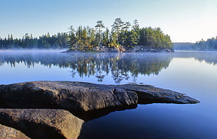 landscape photography of body of water and forest