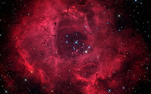 red galaxy photo, space, stars, nebula, Nebulosa Roseta HD wallpaper