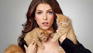 Hollywood actress holding two orange tabby kittens HD wallpaper