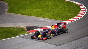 black and yellow f1 formula, race cars, Formula 1, Red Bull Racing, Red Bull HD wallpaper