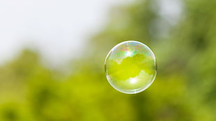 focused photo of bubble, bubbles, floating, blurred