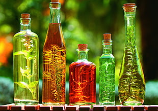 five glass bottles HD wallpaper