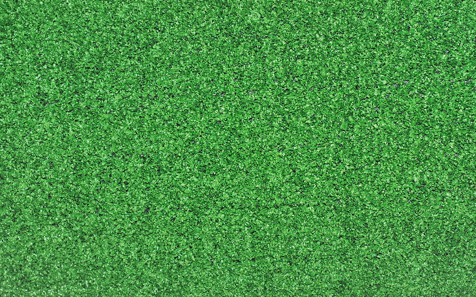 green grass HD wallpaper